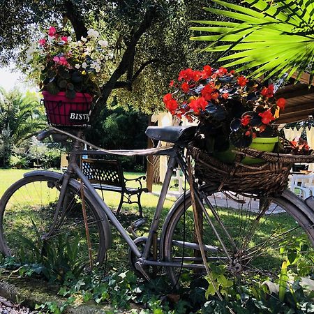 Villa Berghella Montesilvano Marina Kültér fotó
